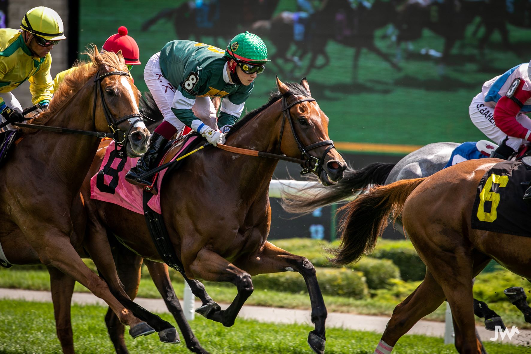 Jennifer Morrison’s Woodbine Thoroughbred Selections Sunday, August 29