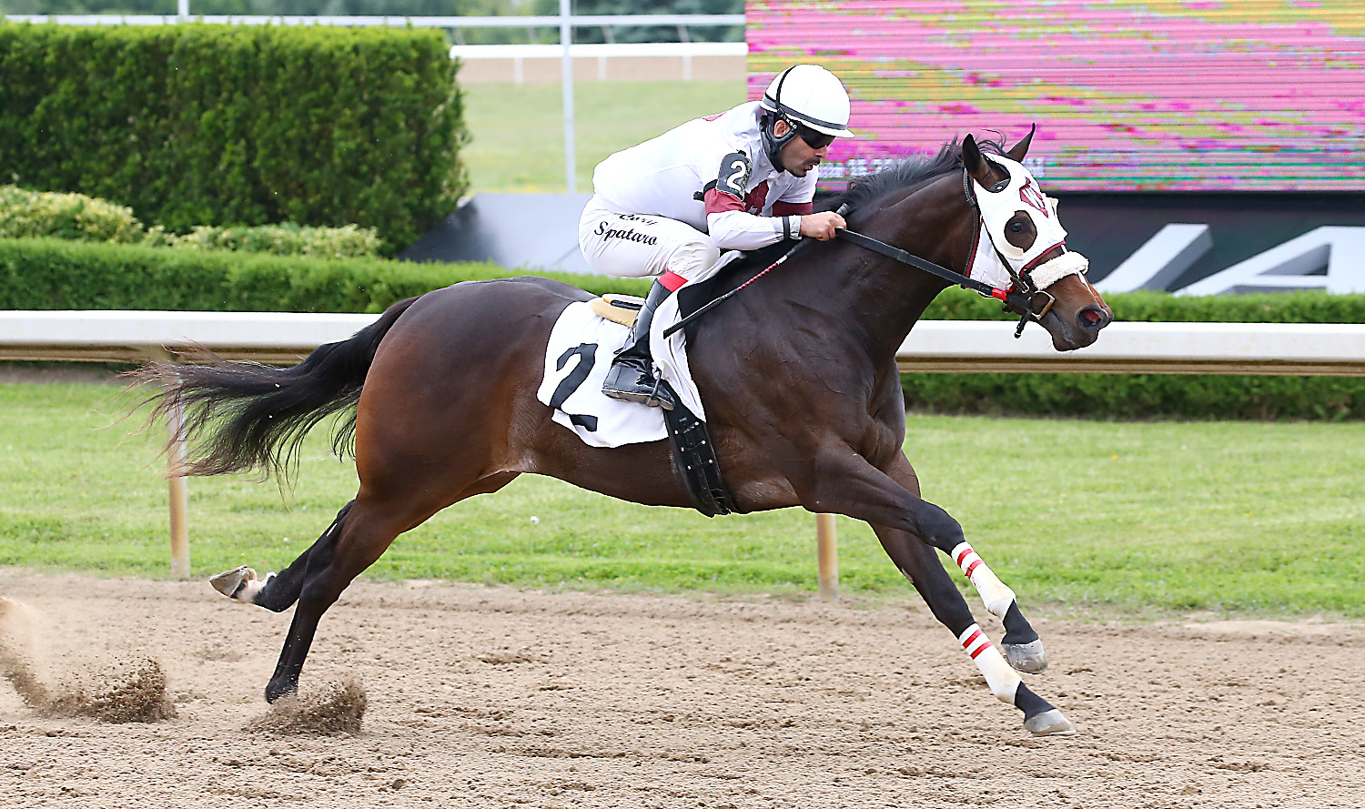 Firstprize Charlotte Leads Ontario Bred Futurity Trials
