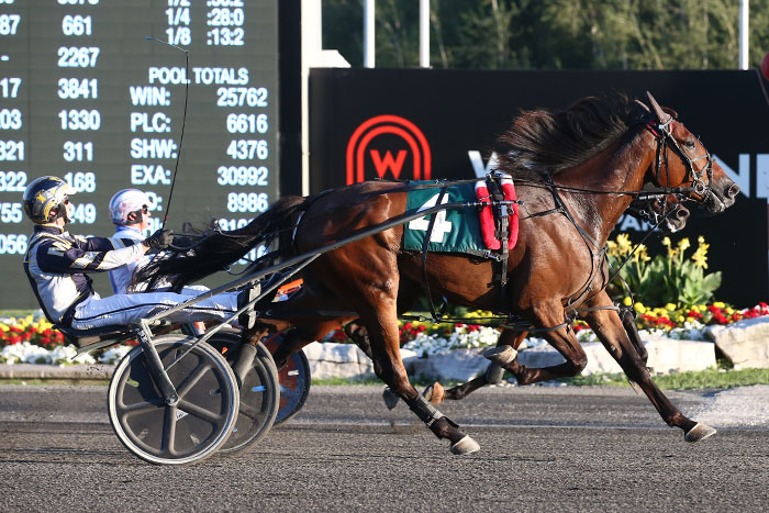 First time Grassroots winners keep their dreams alive