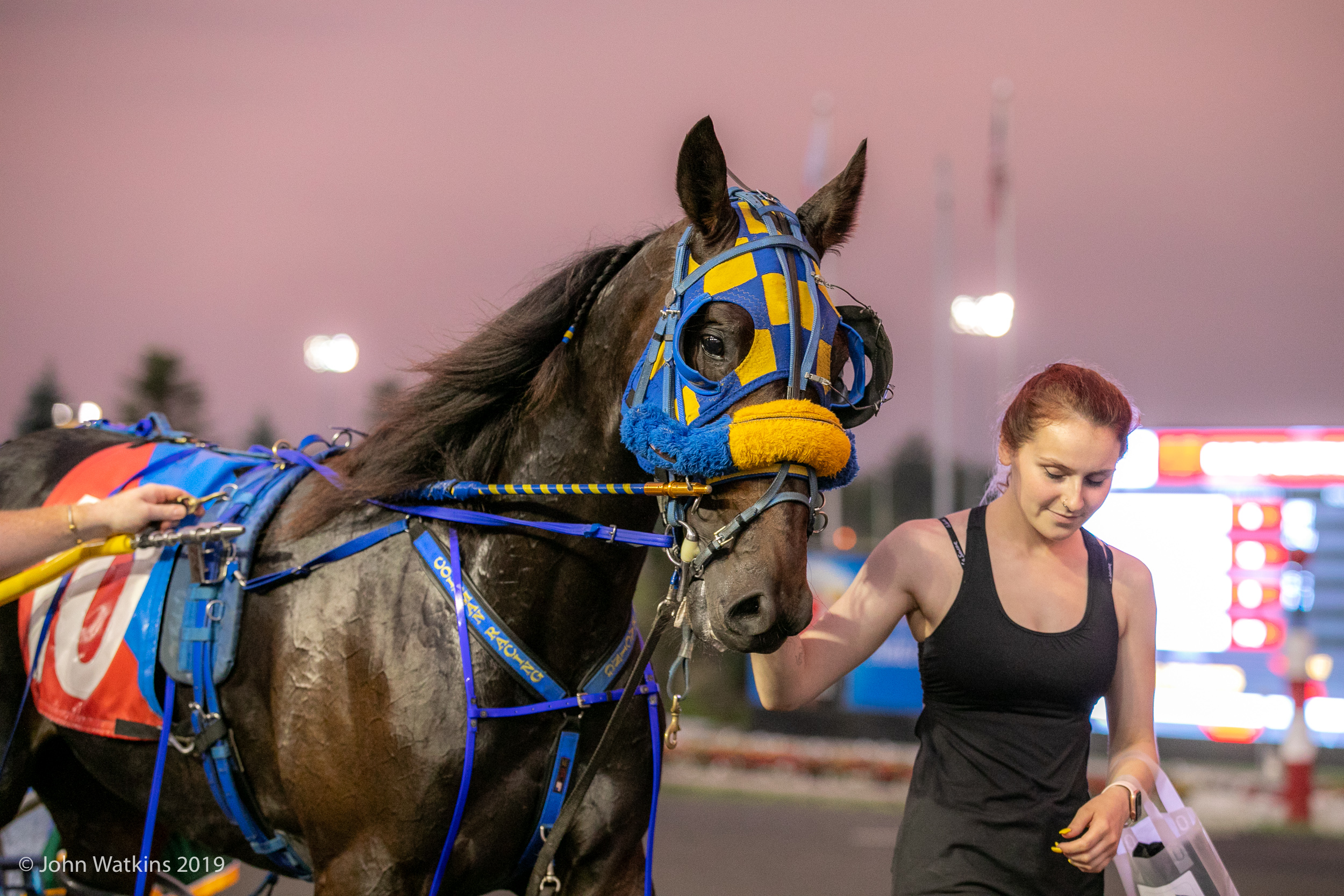 Woodbine Entertainment To Temporarily Suspend Racing At Mohawk Park