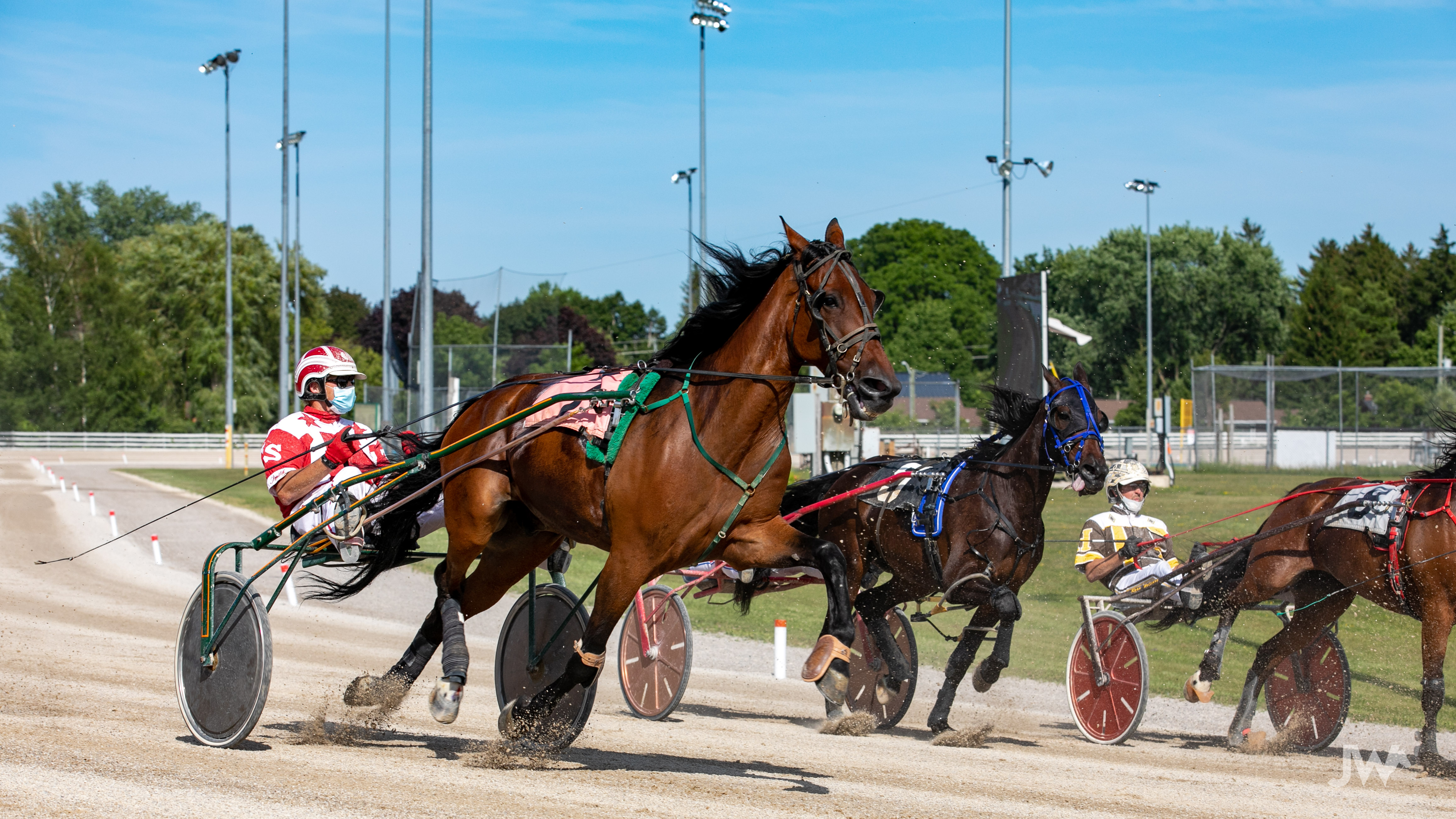 Garnet Barnsdale S Hanover Raceway Selections Saturday June 12 2021 Ontario Racing
