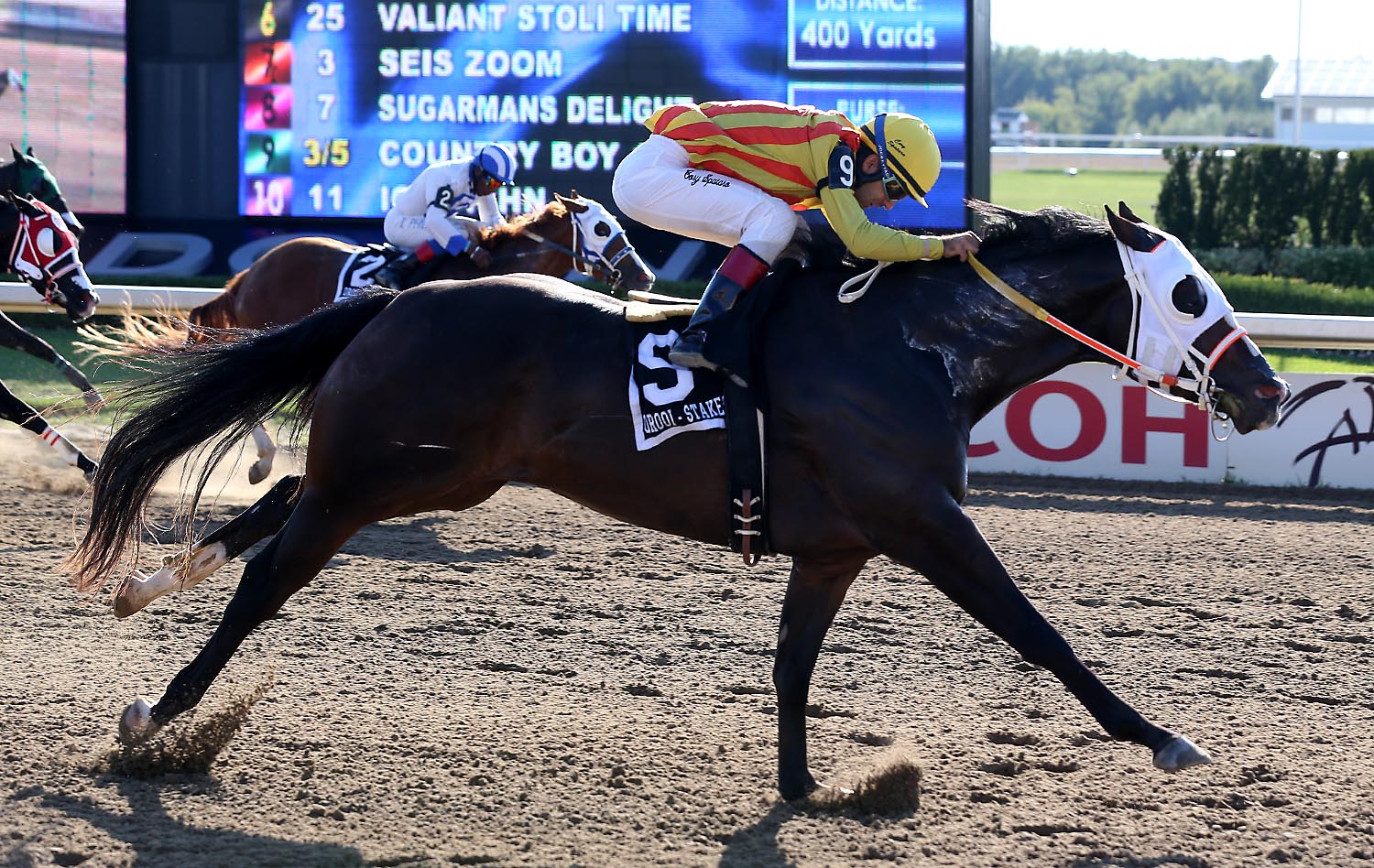 Clash Of Champions at Ajax Downs