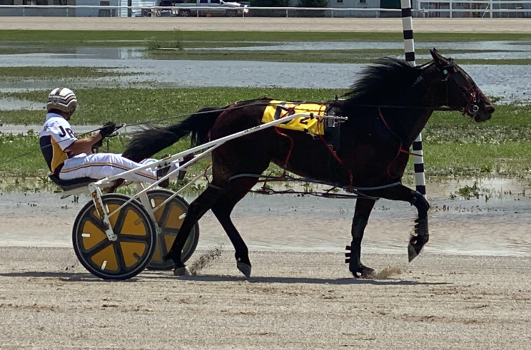Stiletto Blue Chip and Bigmacwithcheese Win Austin Elims At Dresden