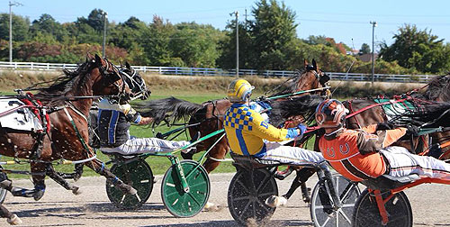 Garnet Barnsdale’s Leamington Raceway Selections: Sunday, October 6, 2016