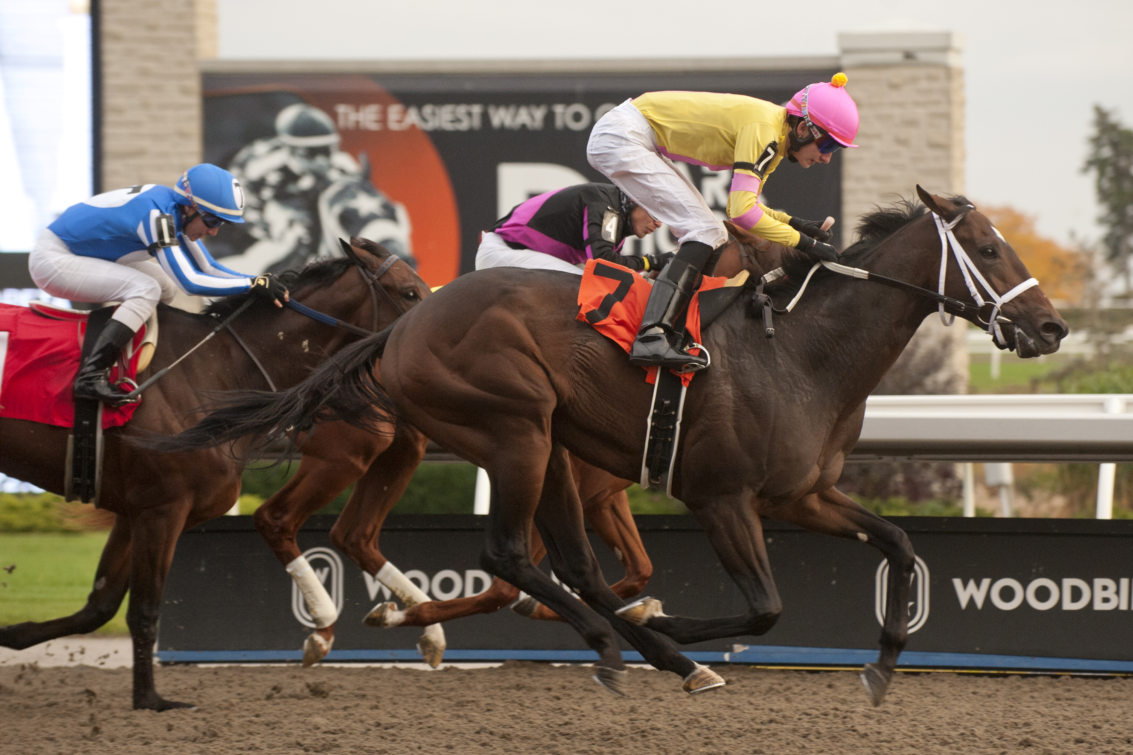 Attard Sends Out Pair in Toronto Cup
