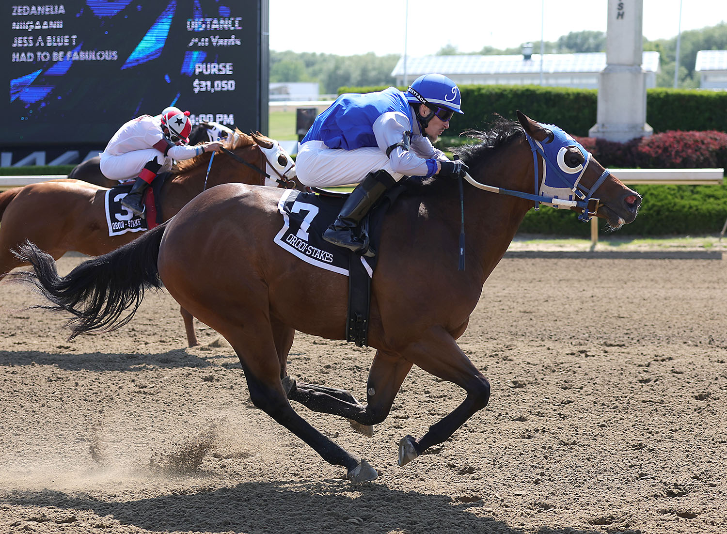 Had To Be Fabulous streaks to victory at  $31,050 Bonus Futurity at Ajax Downs