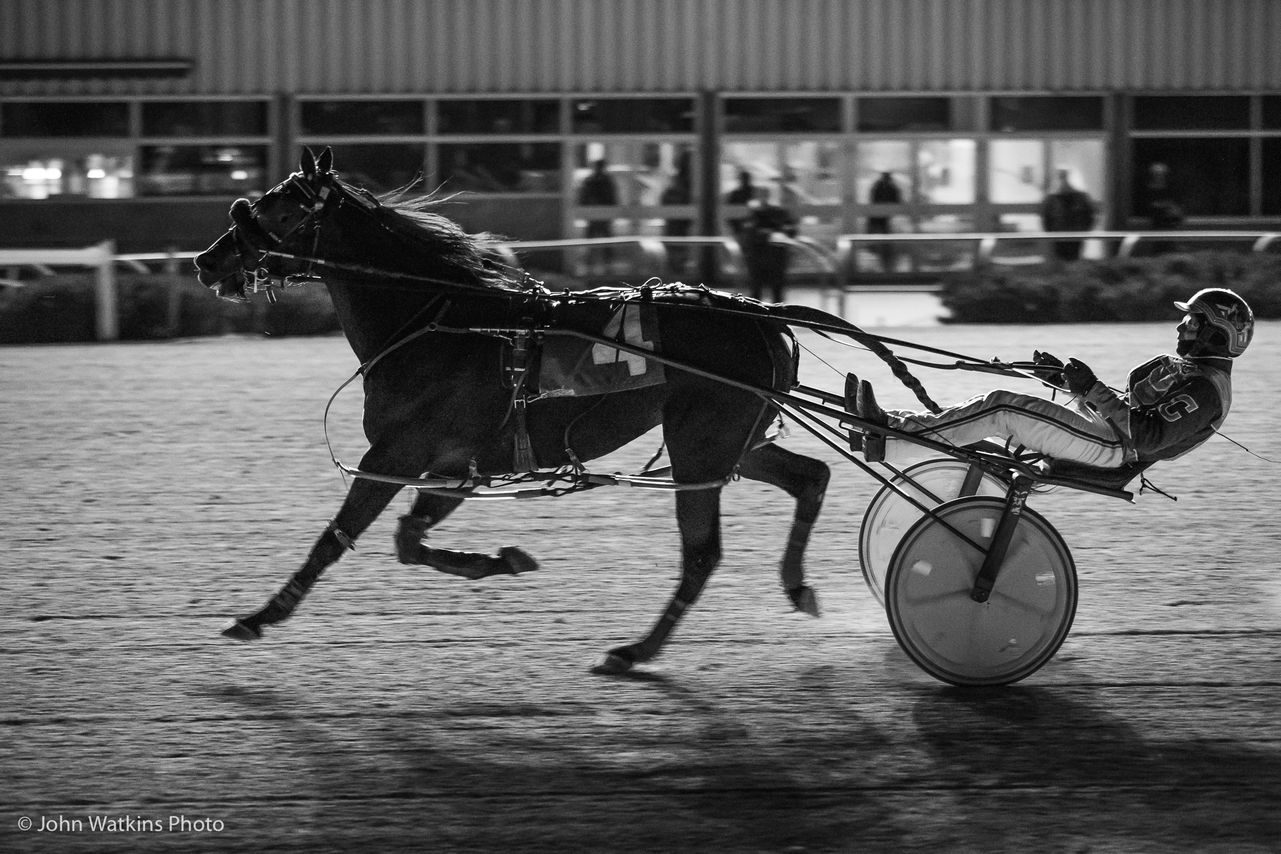 Garnet Barnsdale’s Flamboro Downs Selections: Sunday, December 20, 2020