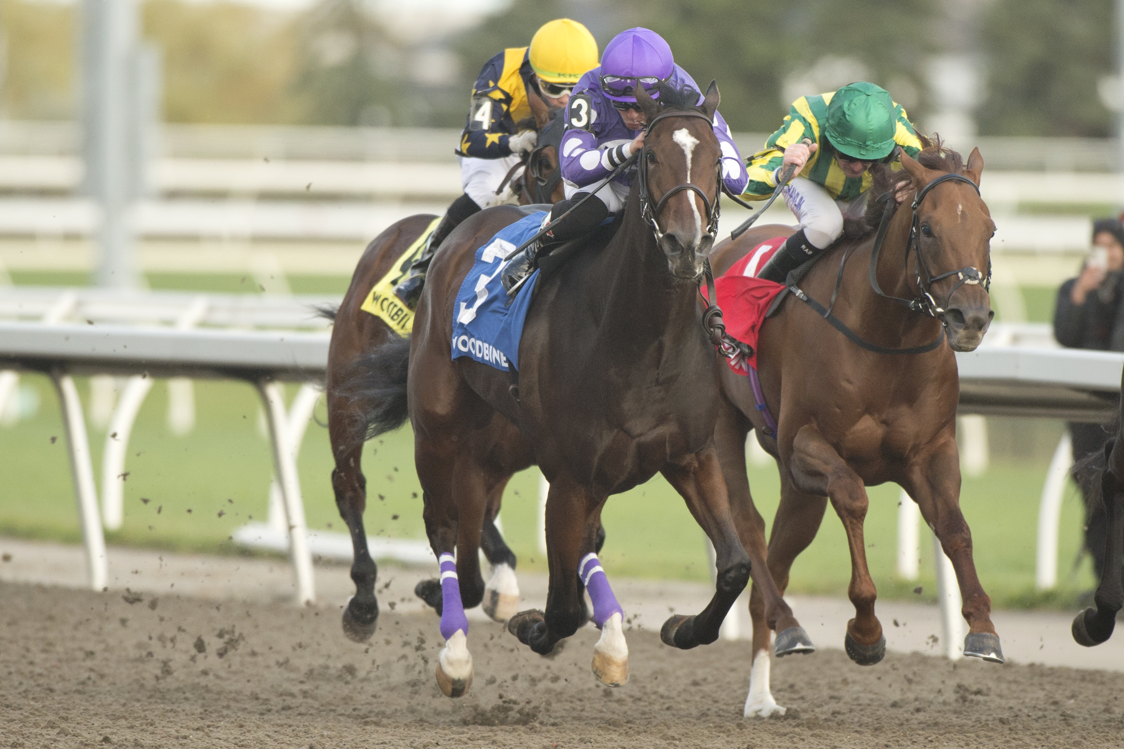 Artie's Storm and jockey Emma-Jayne Wilson winning the Durham Cup on October 7, 2023 at Woodbine (Michael Burns Photo).