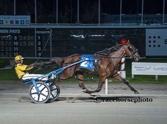 Sunny Dee crushes OSS and Flamboro Downs records