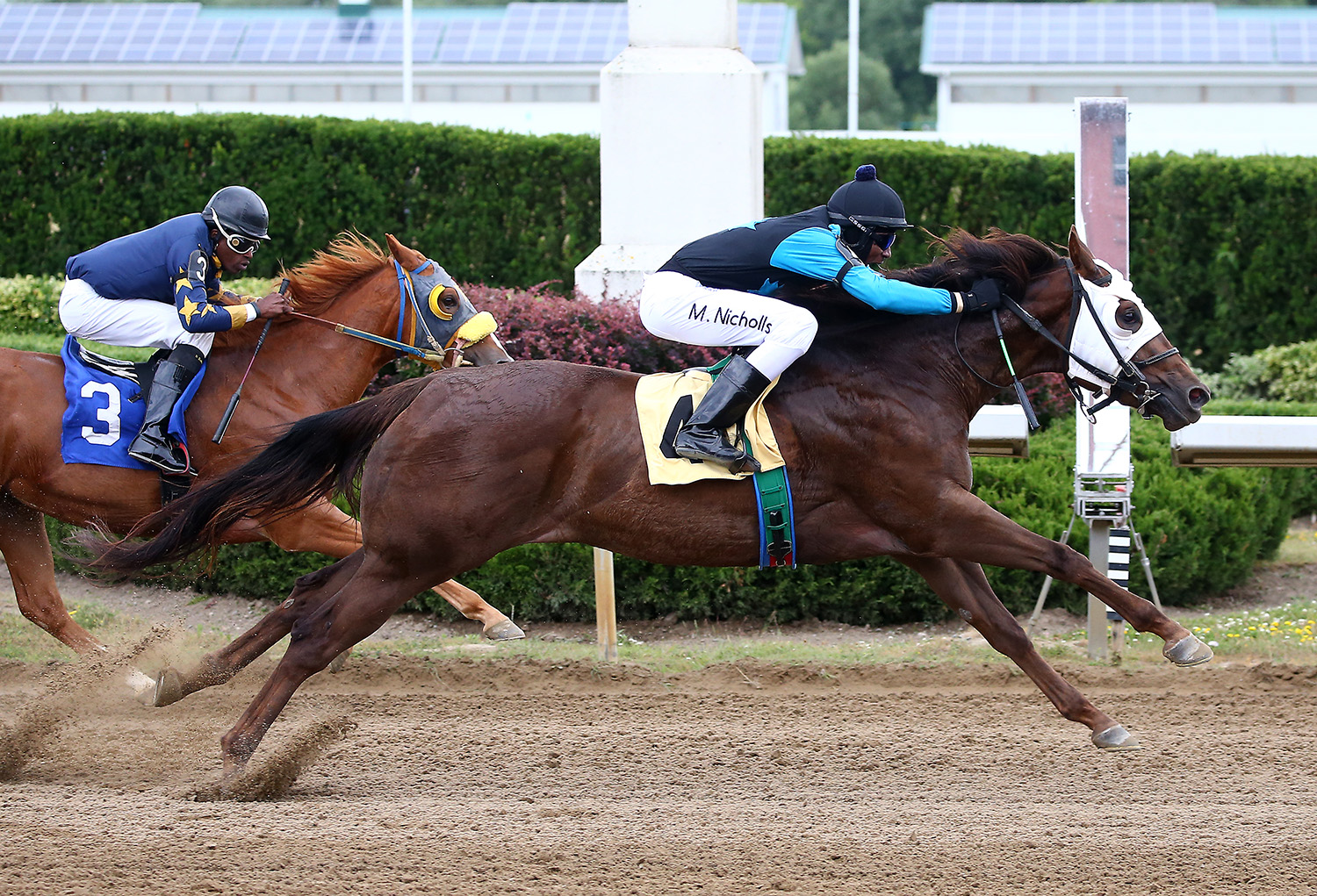 Jockey Miguel Nicholls Wins First Career Race at Ajax Downs