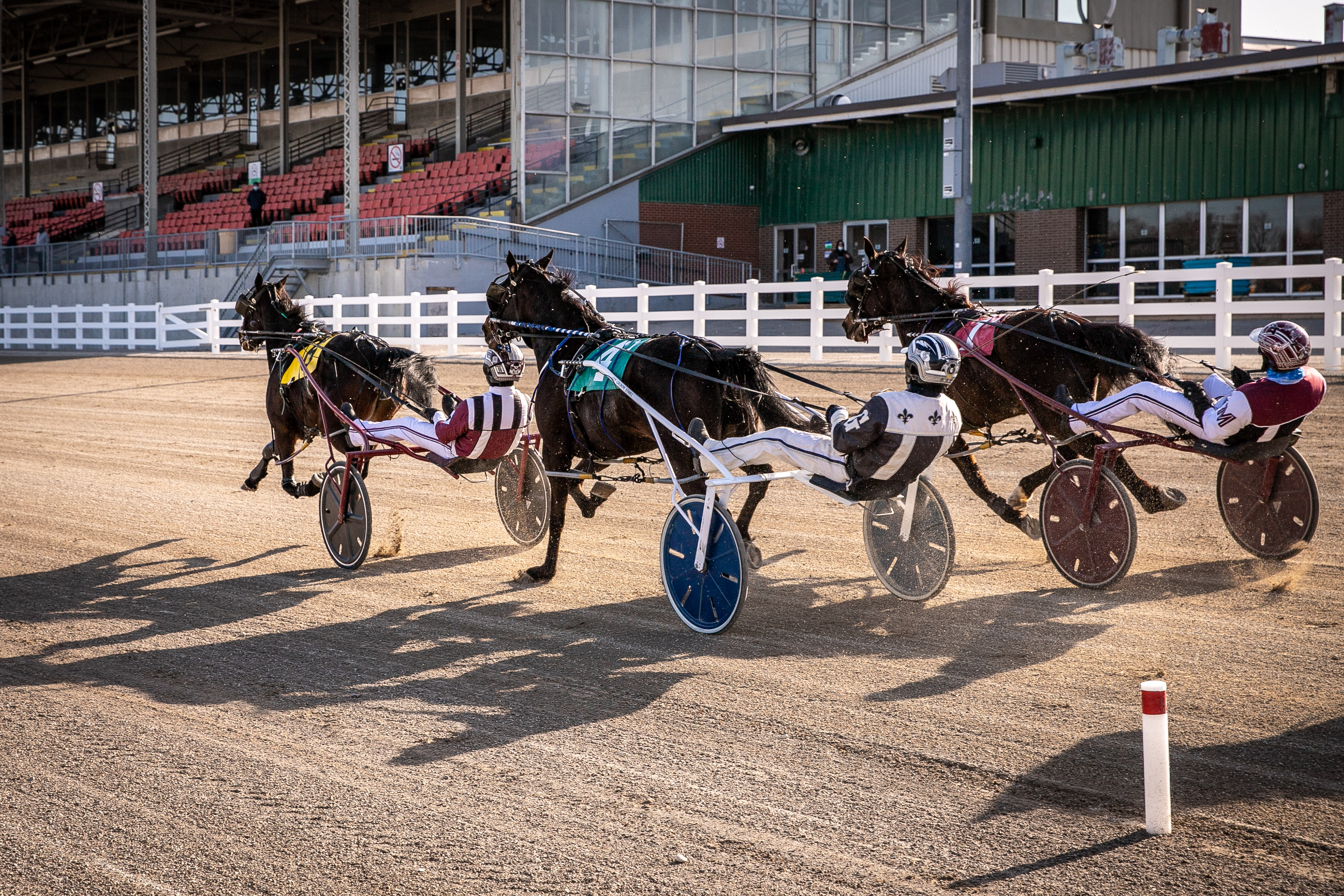 Ontario Racing in discussions regarding Standardbred equine benefit payments