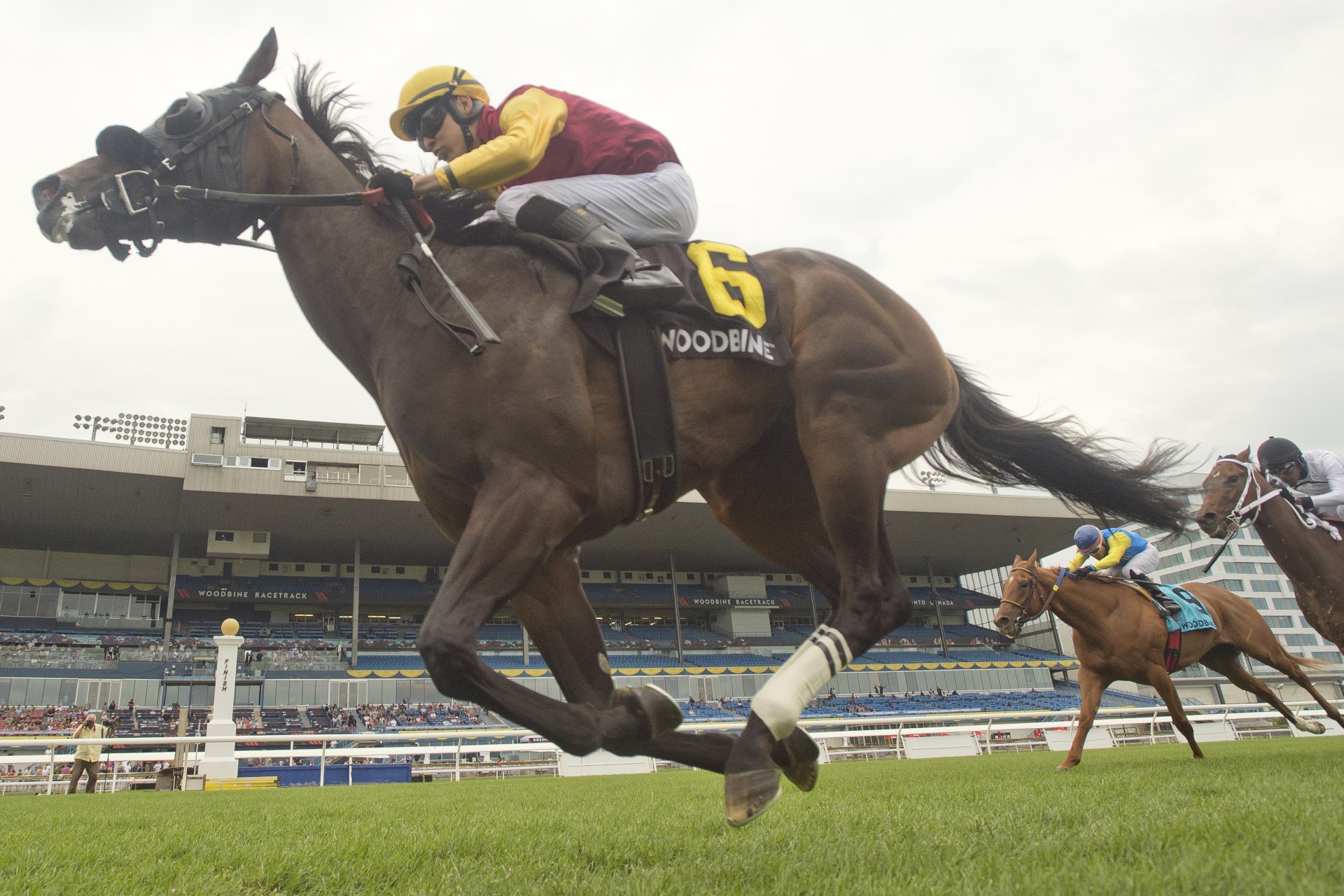 Souper Sunday and jockey Eswan Flores winning the Georgian Bay Stakes on July 8, 2023 at Woodbine (Michael Burns Photo)
