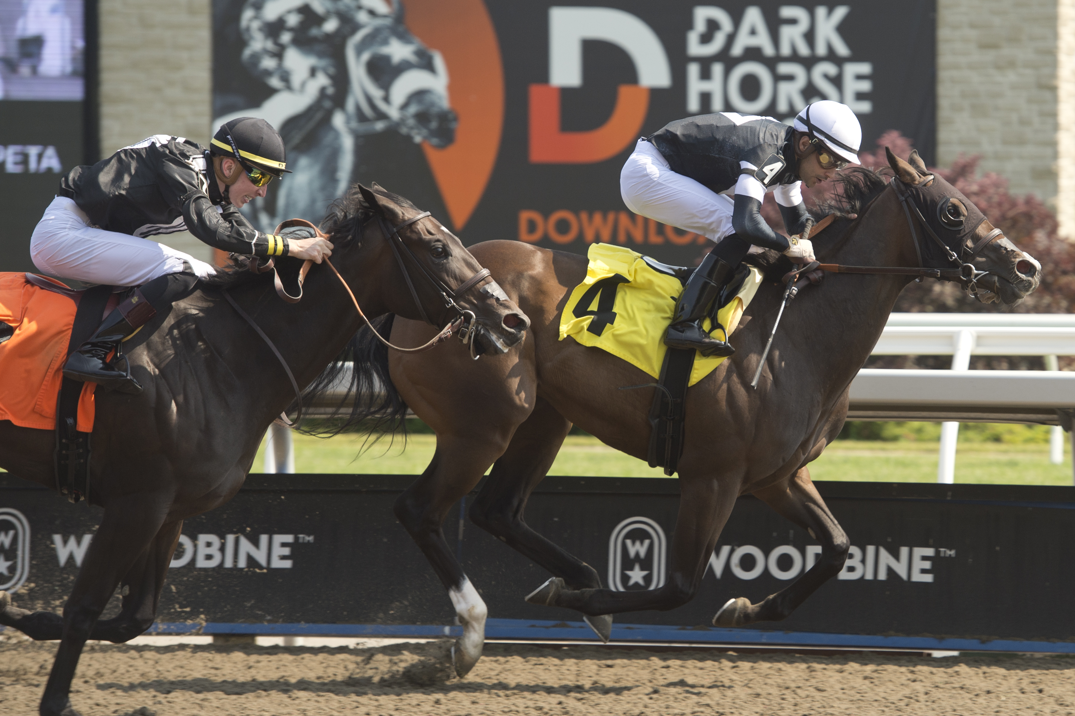 Pair of Ontario Among Contenders in My Dear Stakes