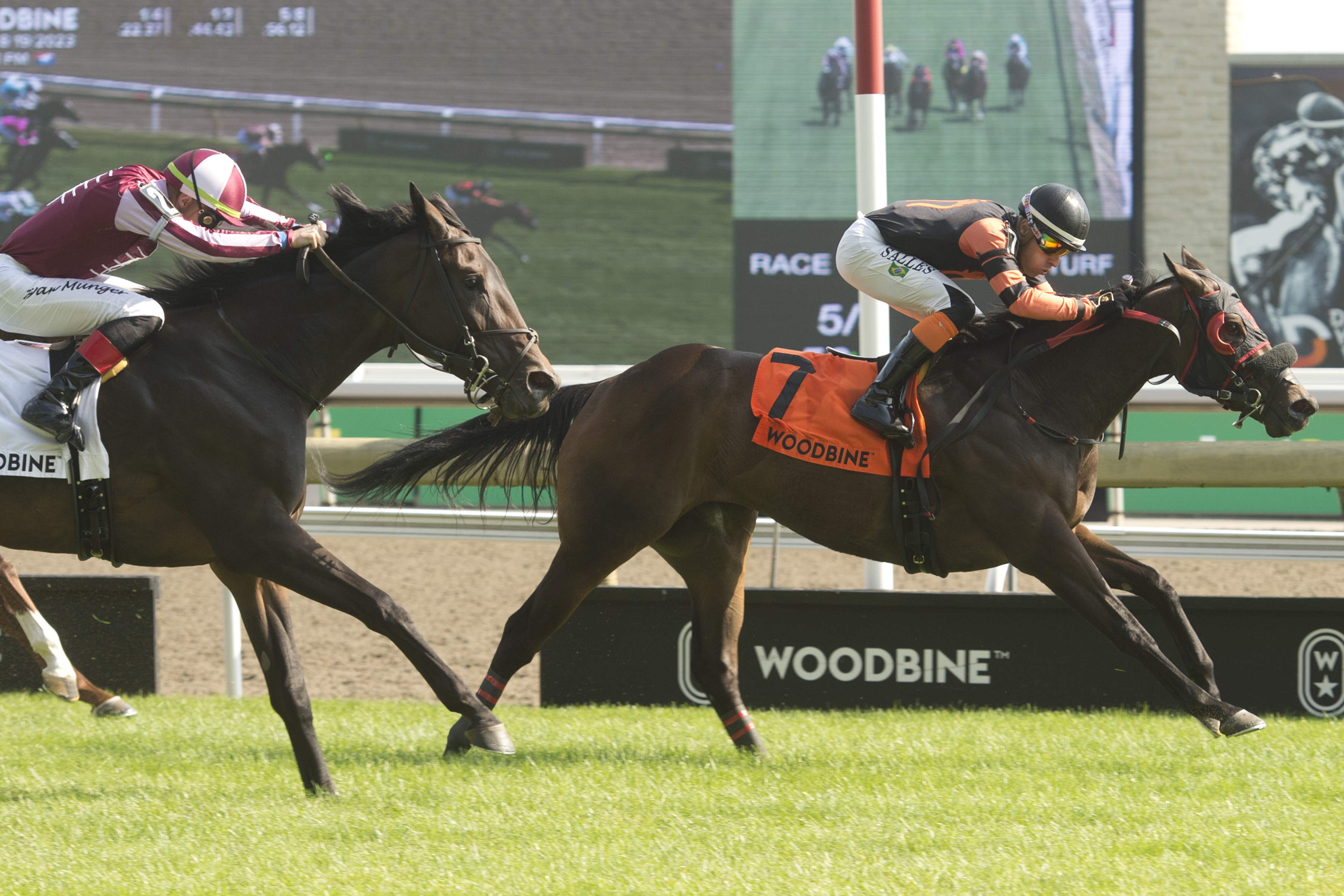 Winning Form Canadiansweetheart Zips into Zadracarta in Winning Form - Ontario Racing
