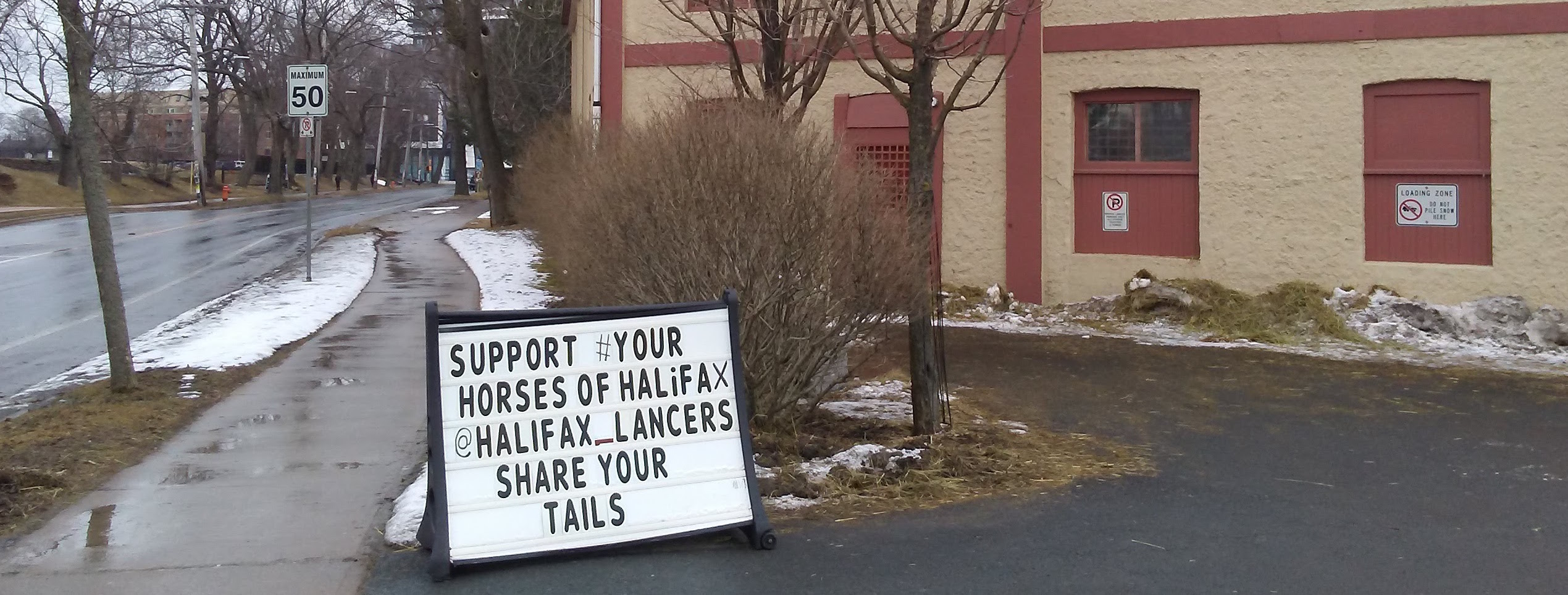Off the Beaten Track: Junior Bengal Lancers Keep Horses in the Heart of Halifax