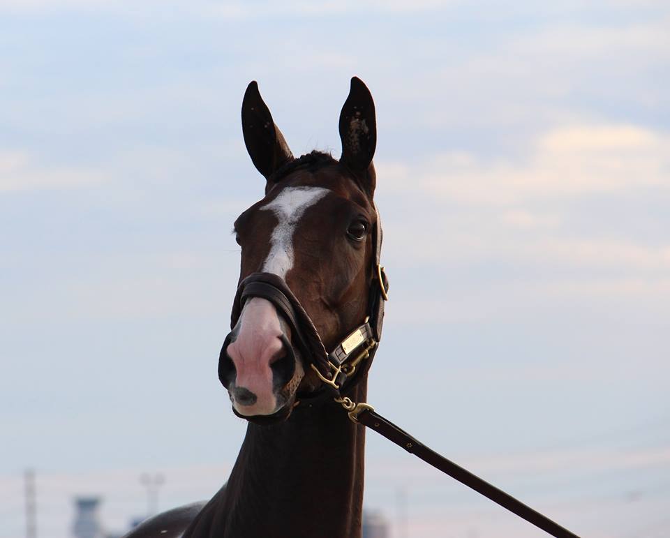 Photo: Portrait of a Lady