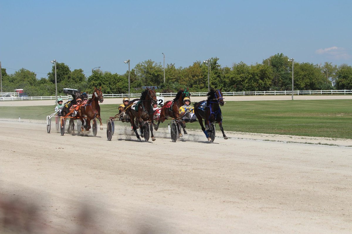 Bet Now – Horse Racing | Ontario Racing - Ontario Racing