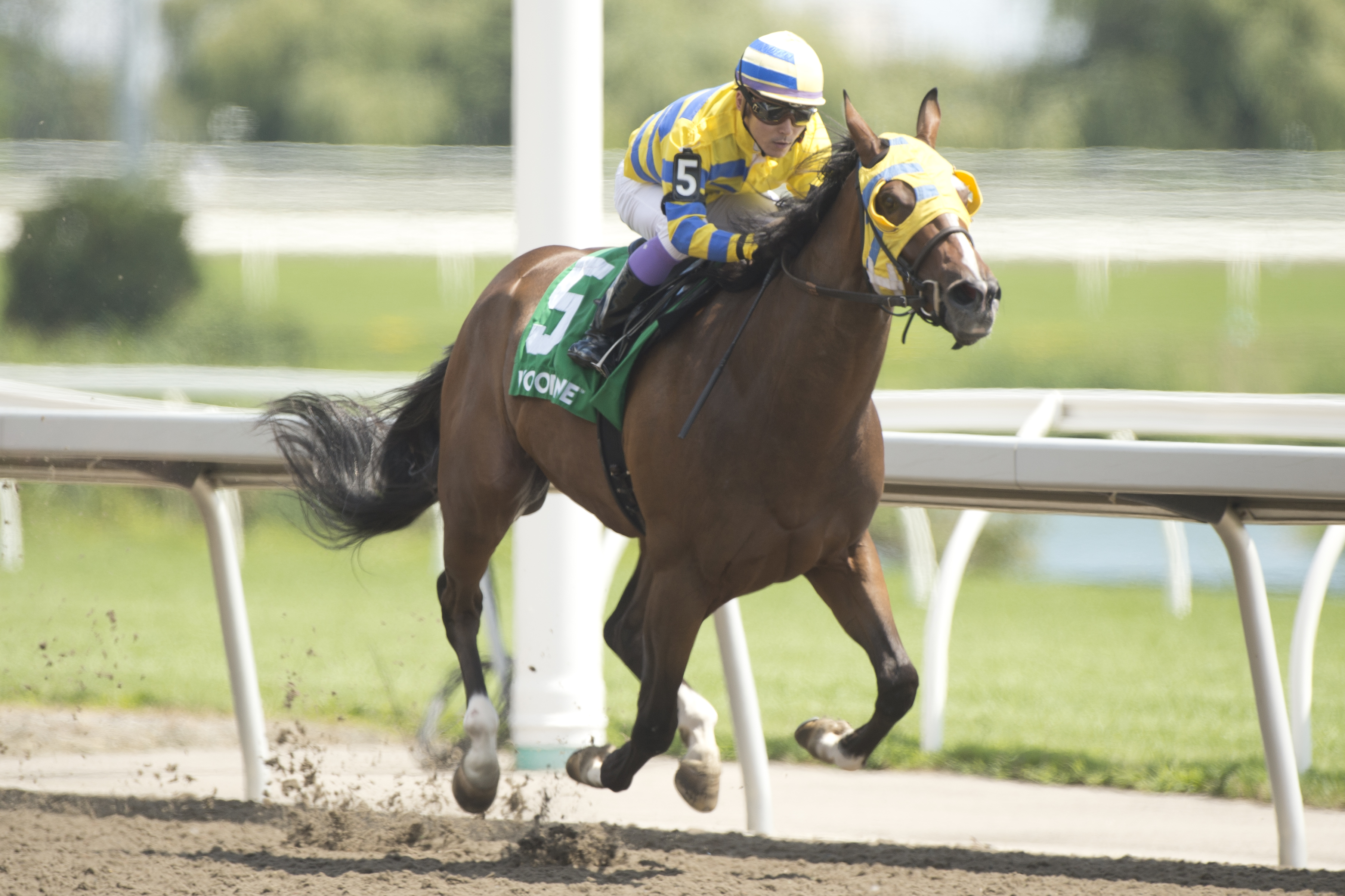 Patches O’Houlihan Rides the Wave to an Easy Lake Superior Score