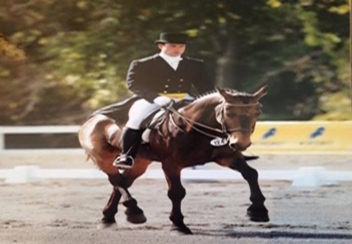 Friday's For the Love of Racing: Jason Pascoe and 'Cassidy'