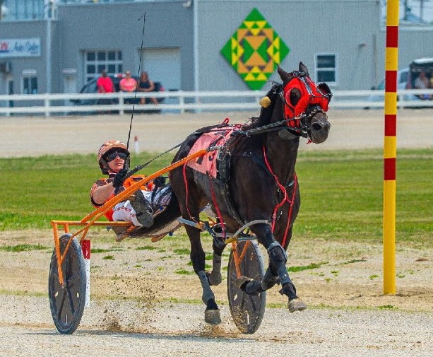 Sharma insisted on five key priorities before making his first foray into horse ownership