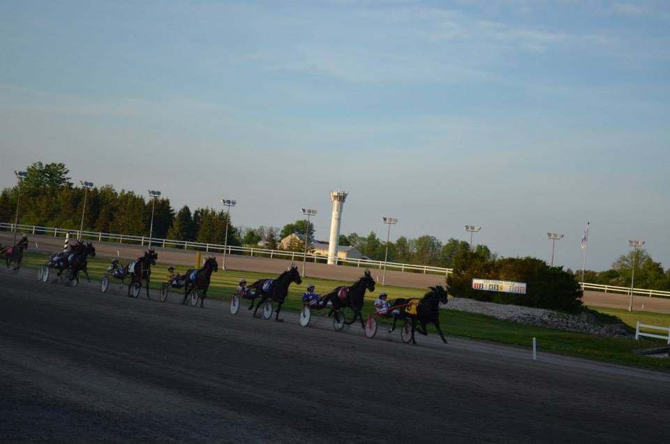 Michael Carter’s Flamboro Downs Selections: Thursday, November 12, 2020