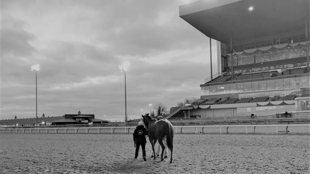 Will Wong: 2021 Horse Racing in Review