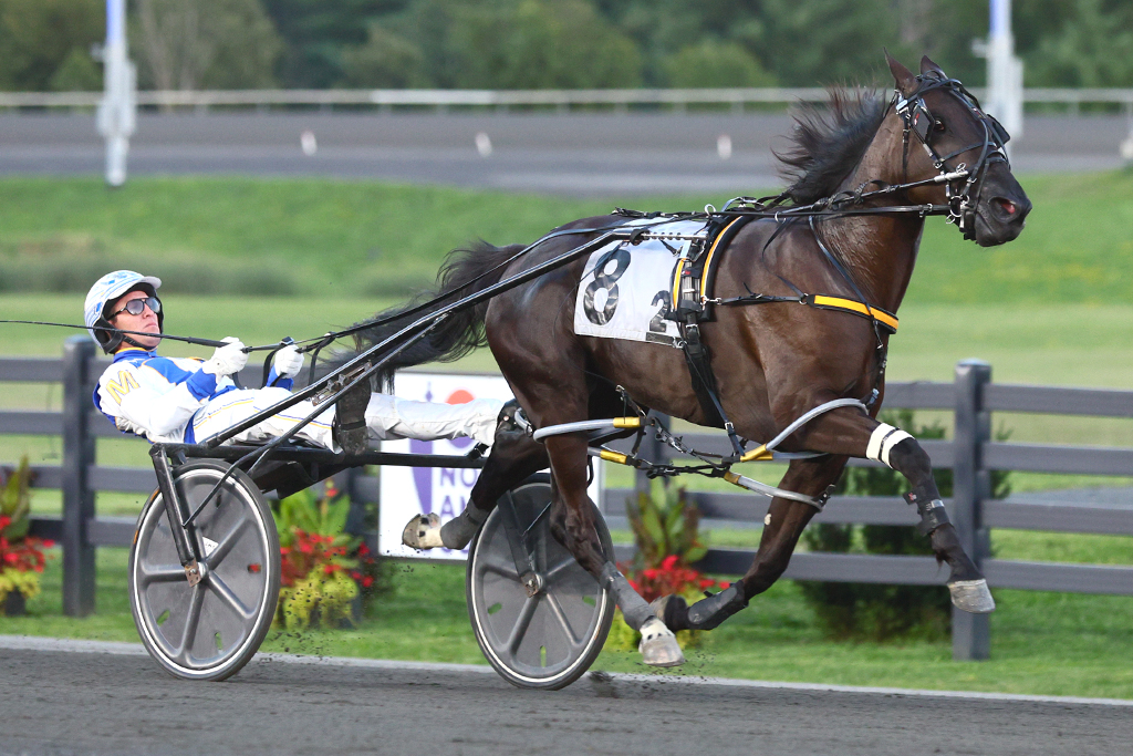 Chantilly laces them up again in OSS Gold series for two-year-old pacing fillies