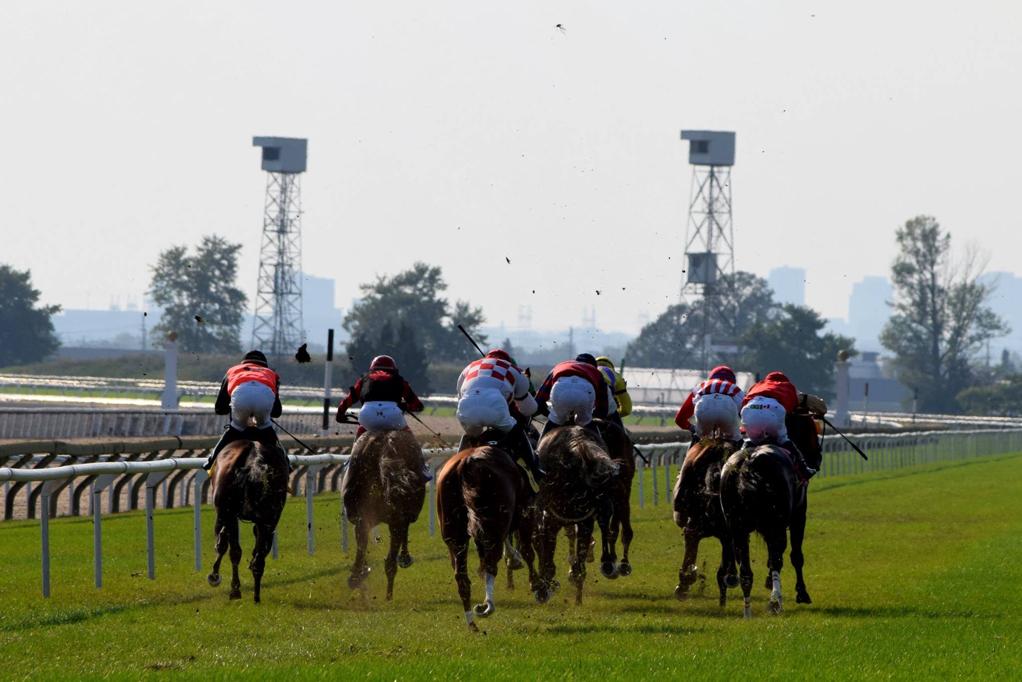 Woodbine shifts post time for Friday Thoroughbred racing