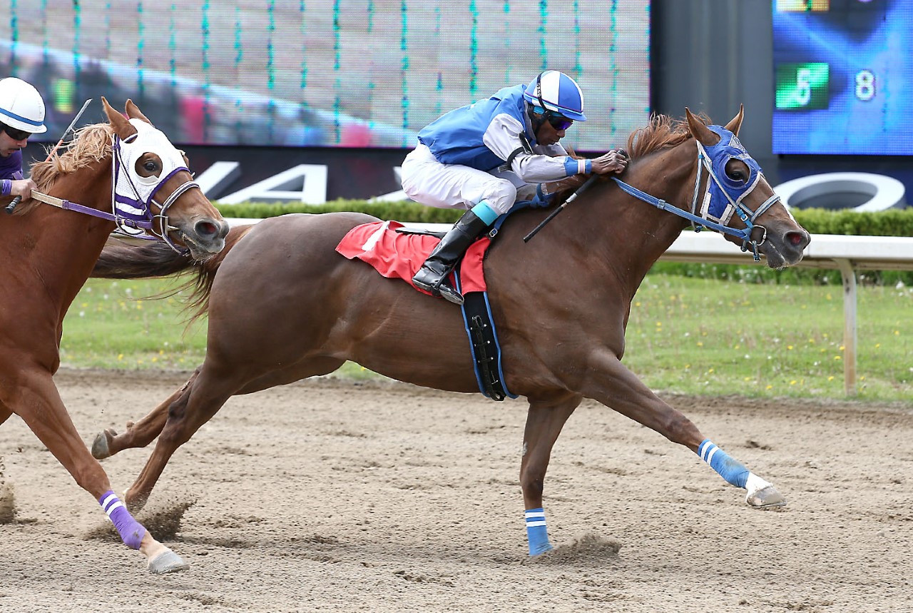 Drama in the Ontario Bred Derby Trials at Ajax Downs