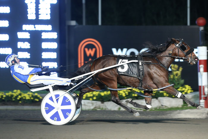 Alicorn romps to record equalling effort