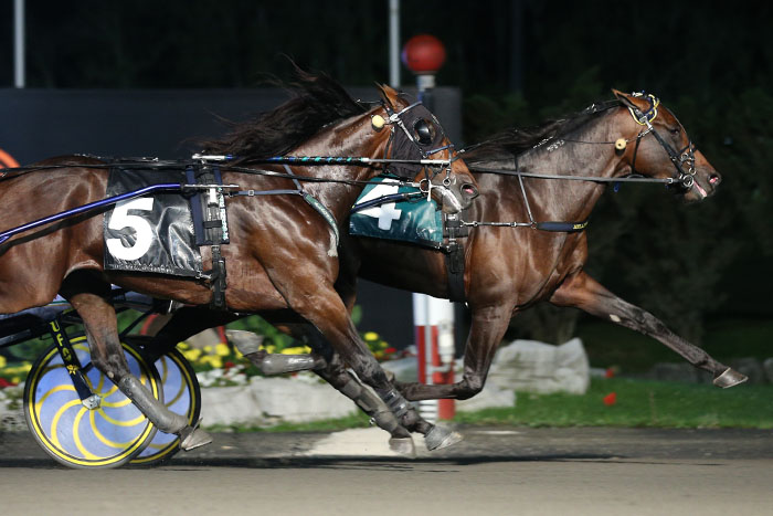 Green Manalishi S and Tetrick victorious in Canadian Trotting Classic