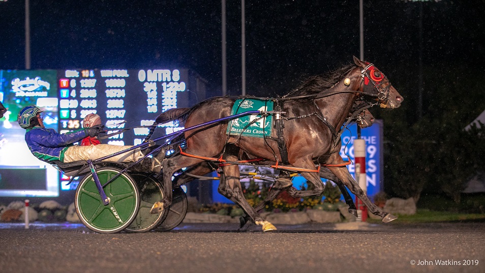 Breeders Crown At Woodbine Mohawk Park A "Huge Success"