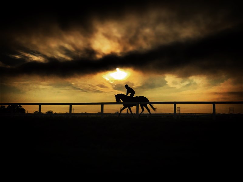 Photo: Early Morning Silhouette 