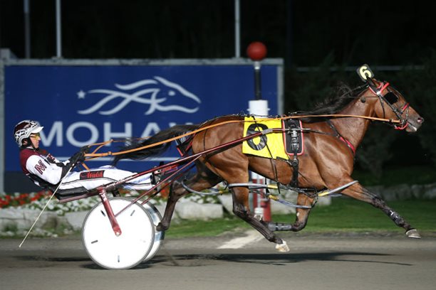 Favourites scoop up seven Grassroots titles at Mohawk