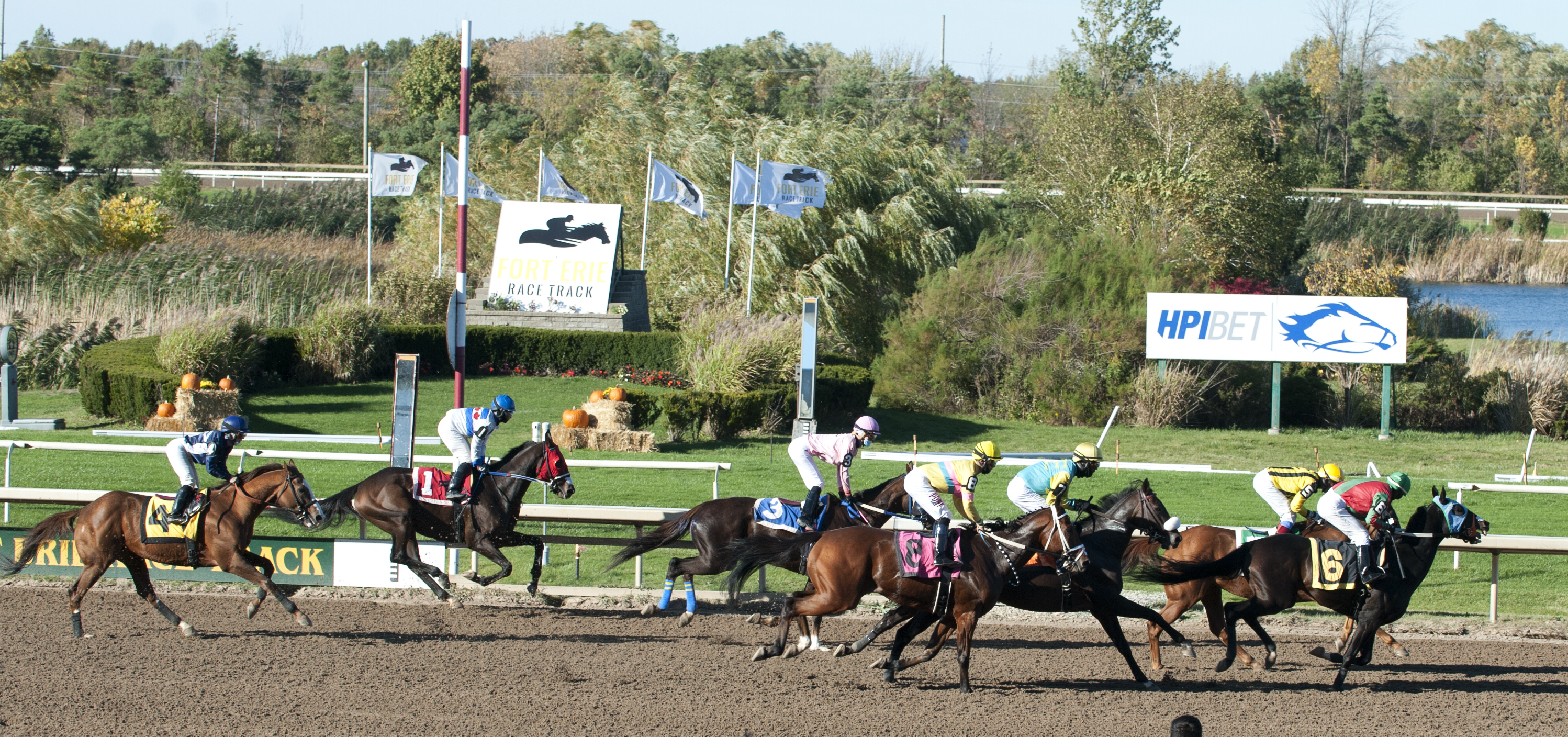 Successful end to Fort Erie’s racing season