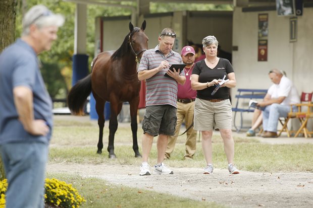 Promoting millions in Ontario owner bonuses in Lexington