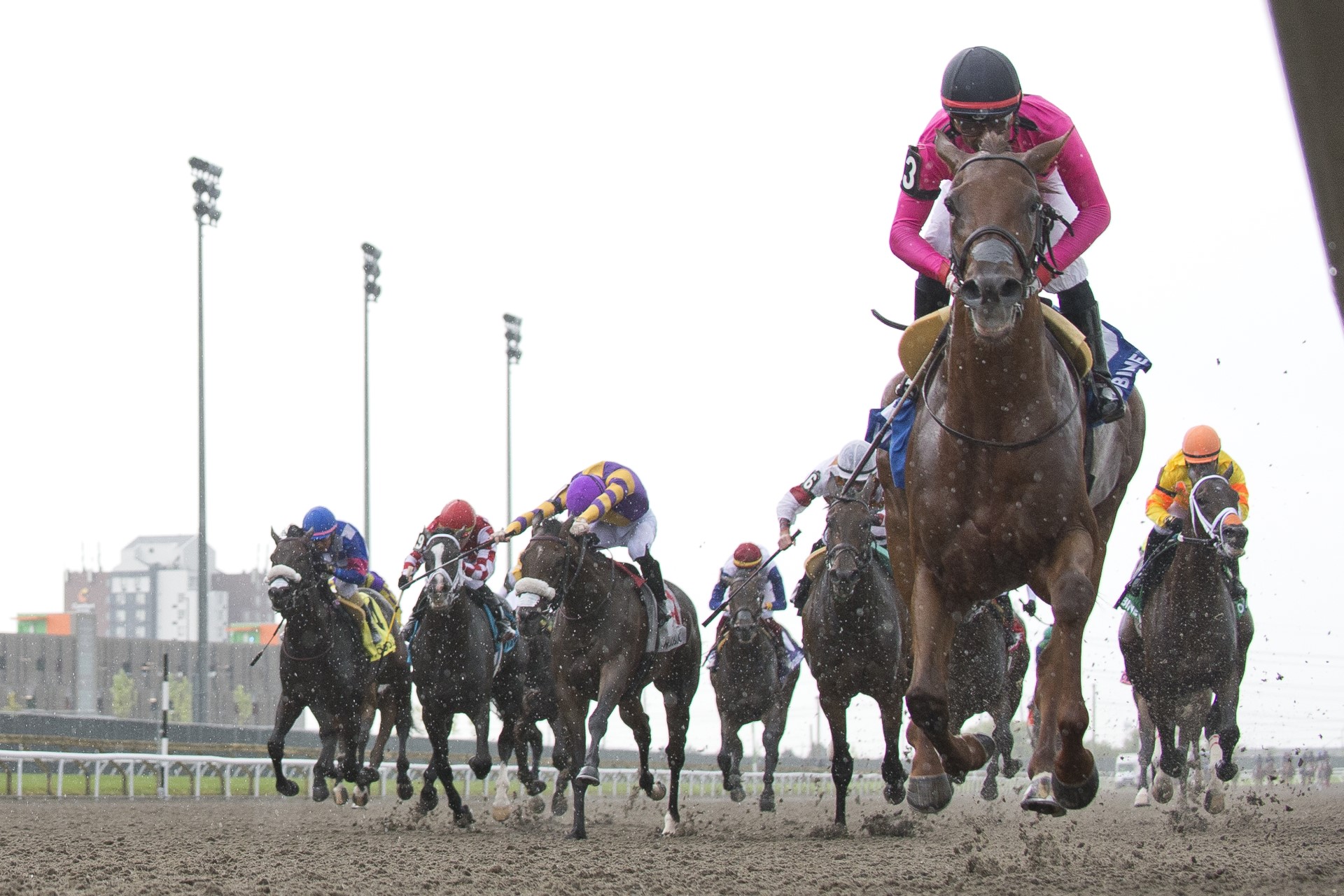 Paramount Prince and Patrick Husbands winning Sunday's Plate Trial. (Michael Burns Photo)