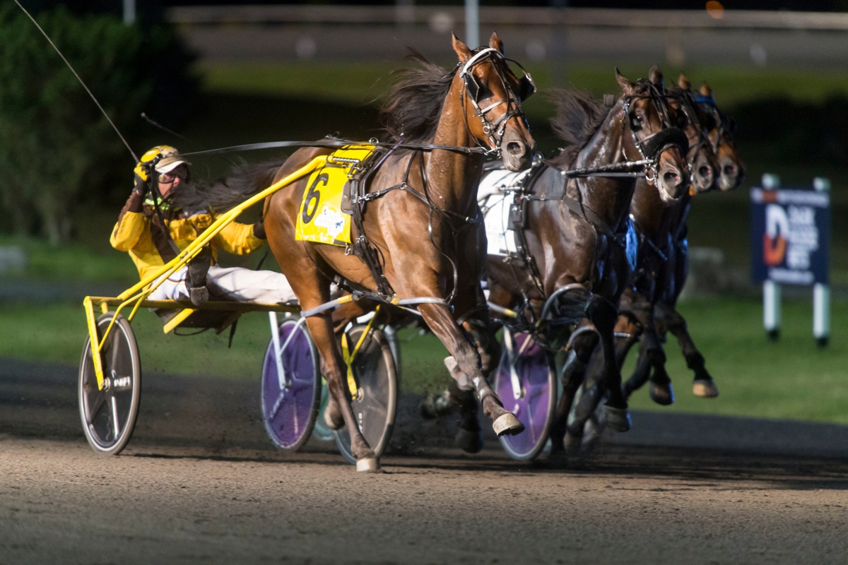 Hanover Raceway Hosting Trevor Henry Day July 23