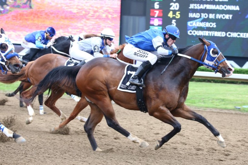 Ontario Breds Had to Be Ivory, Countrys Comin Bac Headline Feature at Ajax Downs