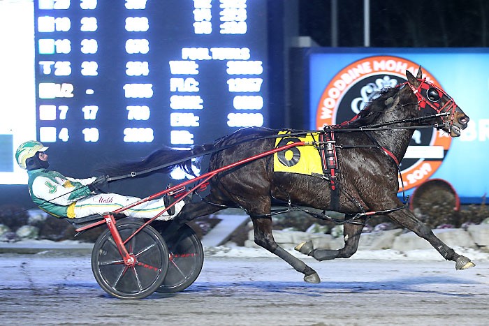 Busy weekend ahead at Woodbine Mohawk Park