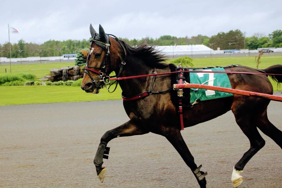 Melissa Keith’s Rideau Carleton Selections: Sunday, December 20, 2020