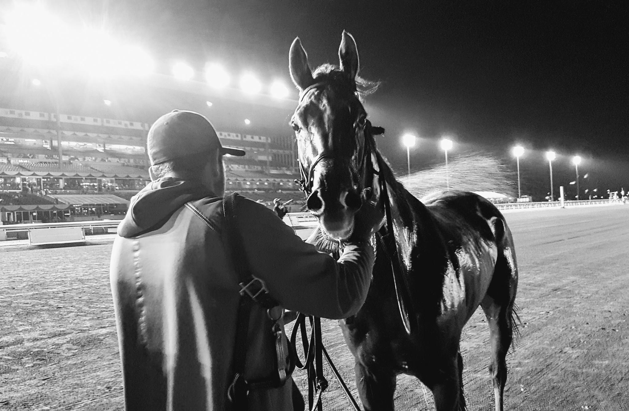 The Horse Racing Photos 12 Days of Christmas: The 1st Day