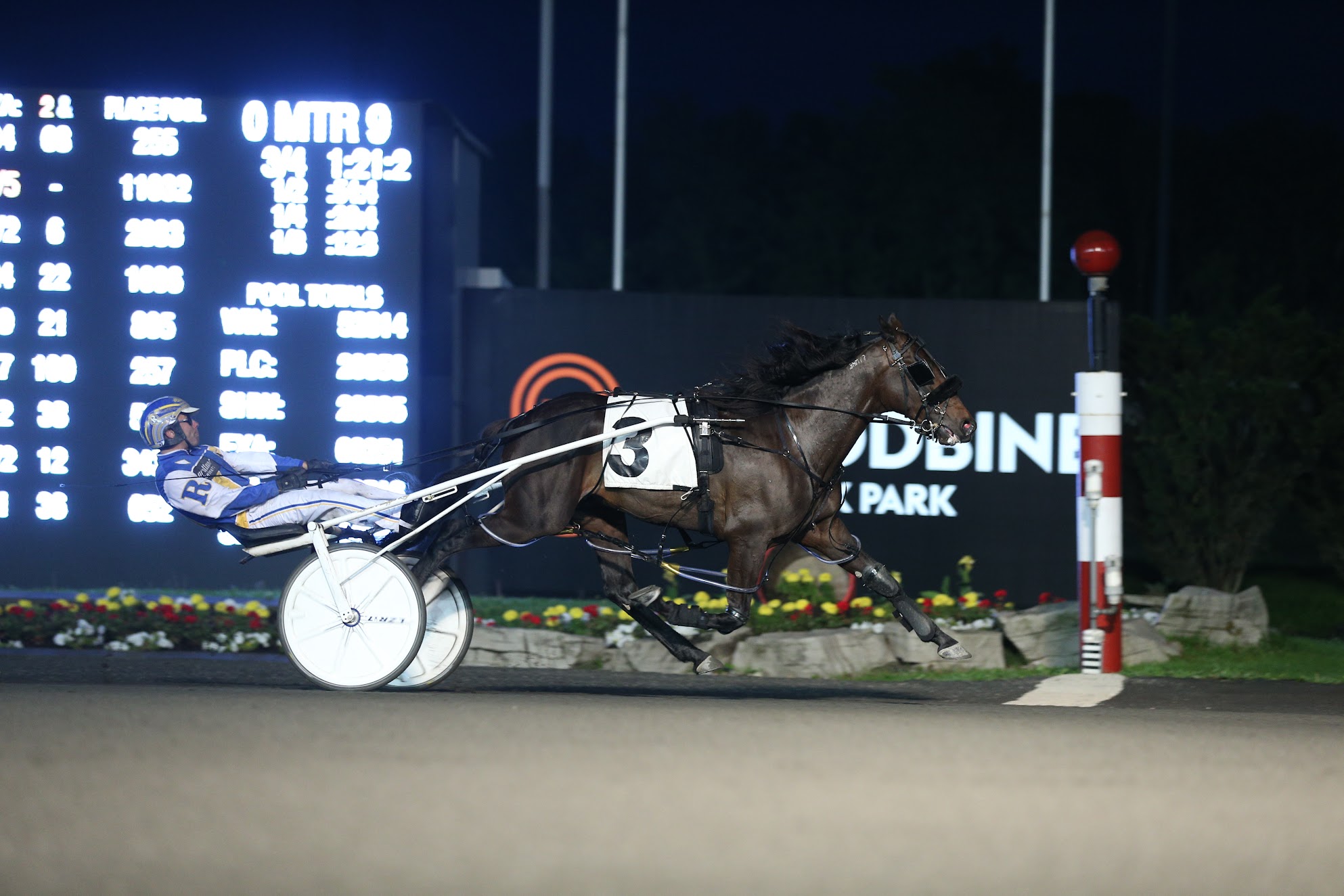 Jimmy Freight Stakes to Be Contested October 7 at Woodbine Mohawk Park