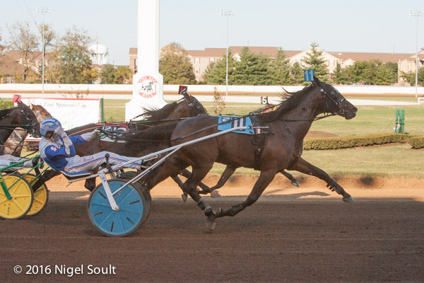 Ontario’s Marion Marauder wins Trotting Triple Crown