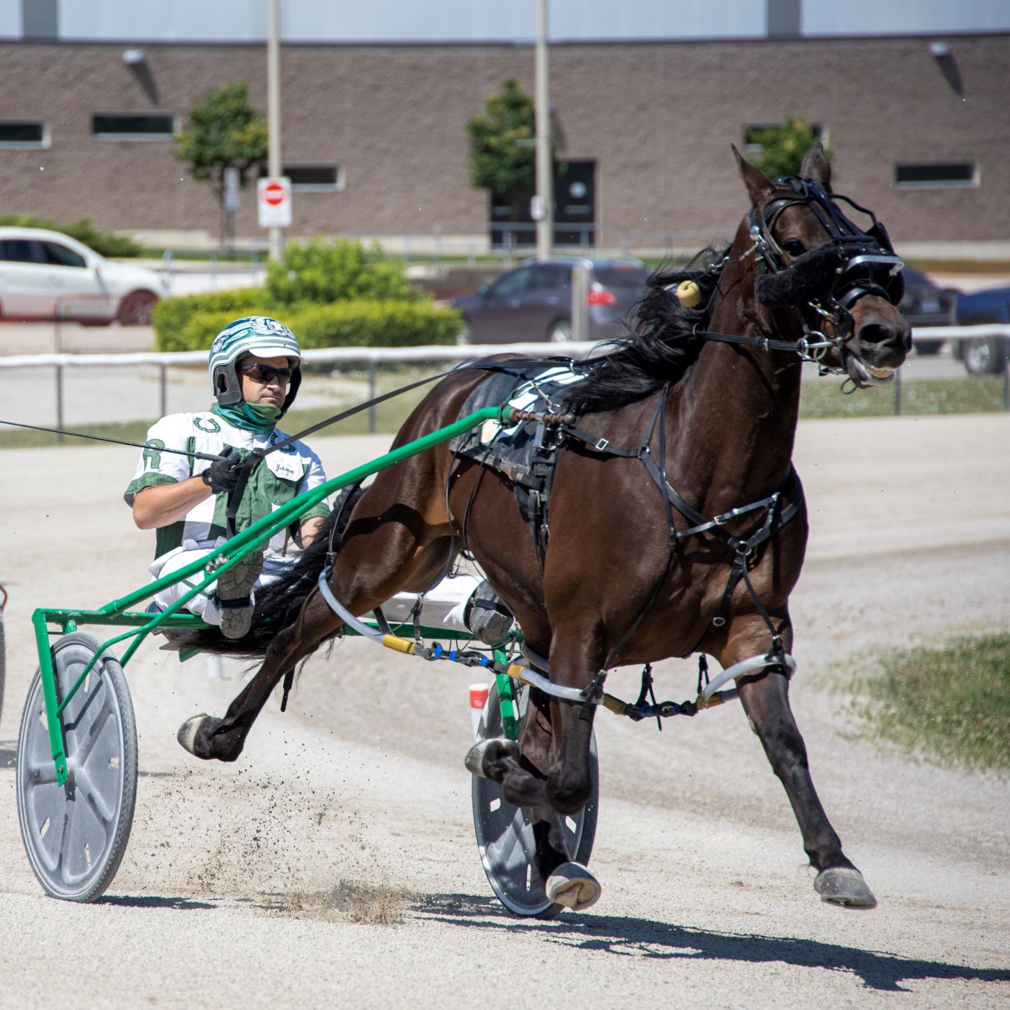 Melissa Keith’s Rideau Carleton Raceway Selections: Sunday, October 10, 2021
