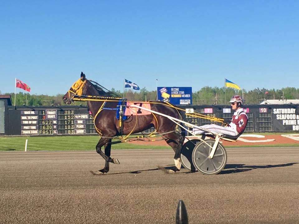 Melissa Keith’s Rideau Carleton Selections: Thursday, October 8, 2020