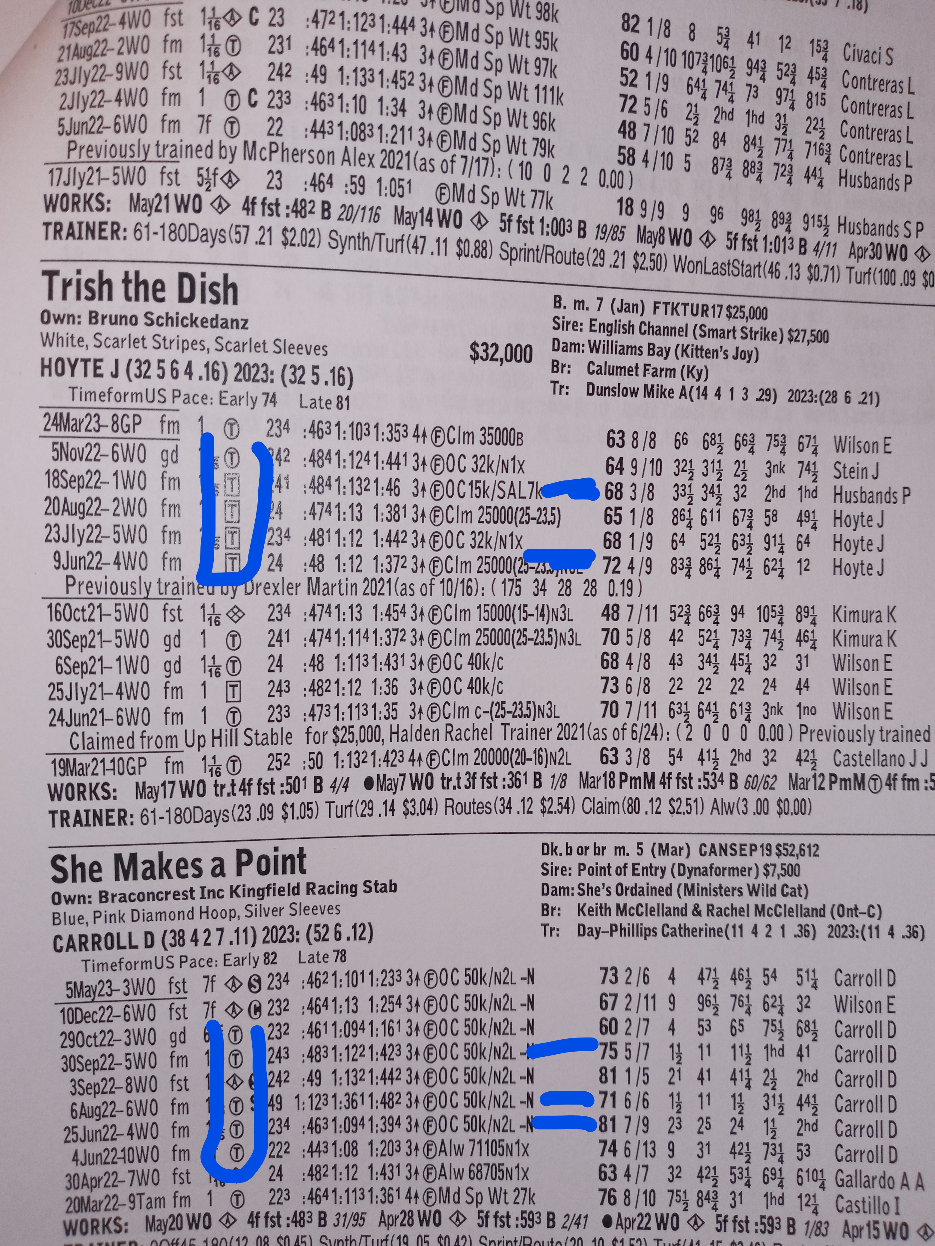 Handicapping Turf Races