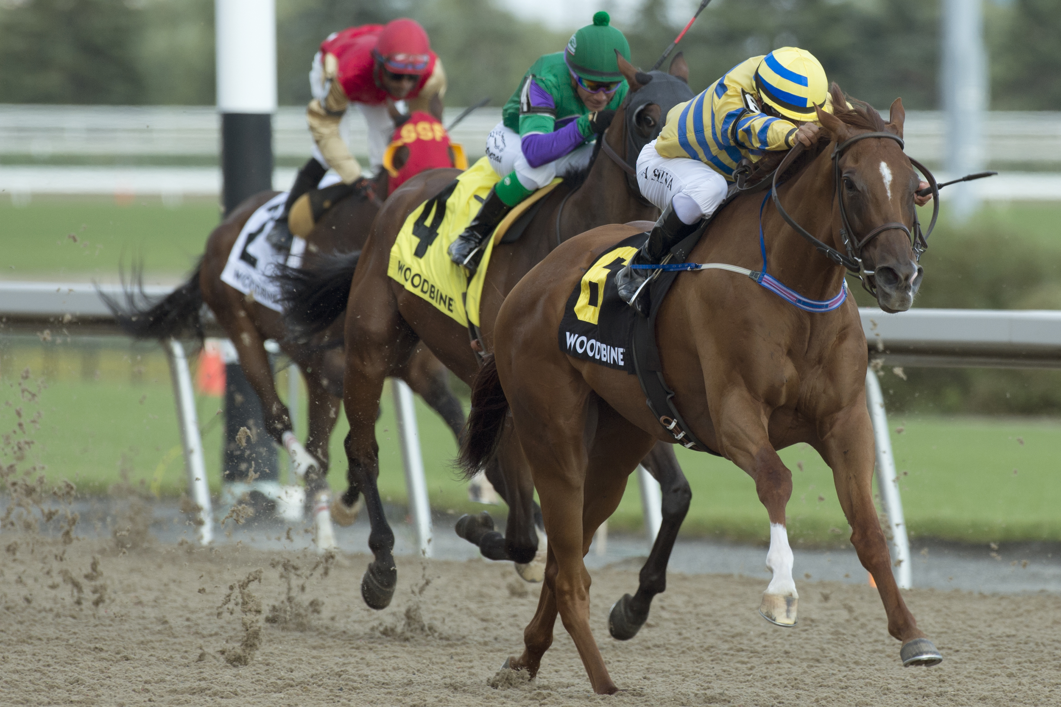 Yearling Sales Stakes highlight mid-week stakes card at Woodbine