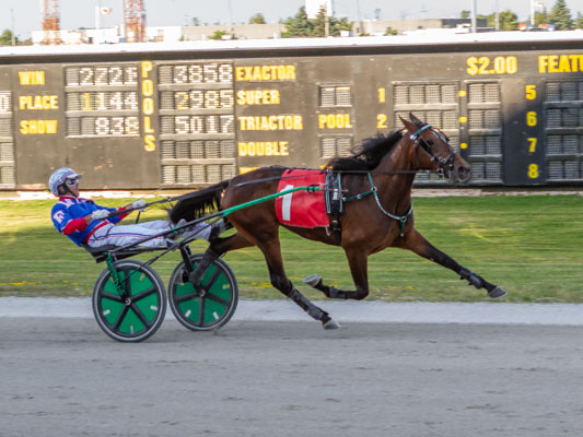 Highland Foxytrotr quickest of the Grassroots debutants
