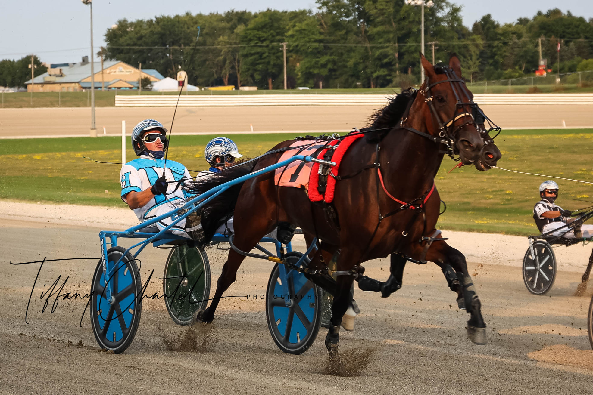 Michael Carter’s Grand River Raceway Selections: Wednesday, September 1, 2021
